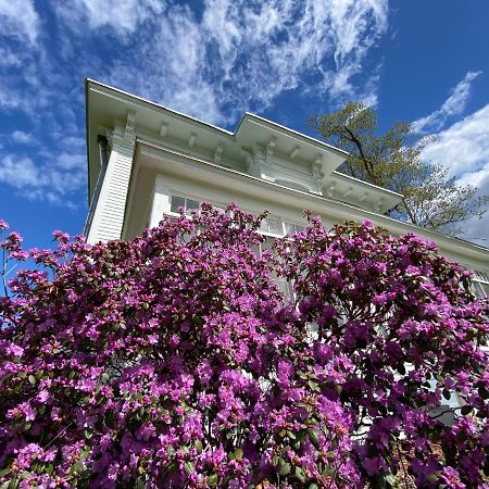Bloom Farm Guesthouse Mount Vision Ngoại thất bức ảnh