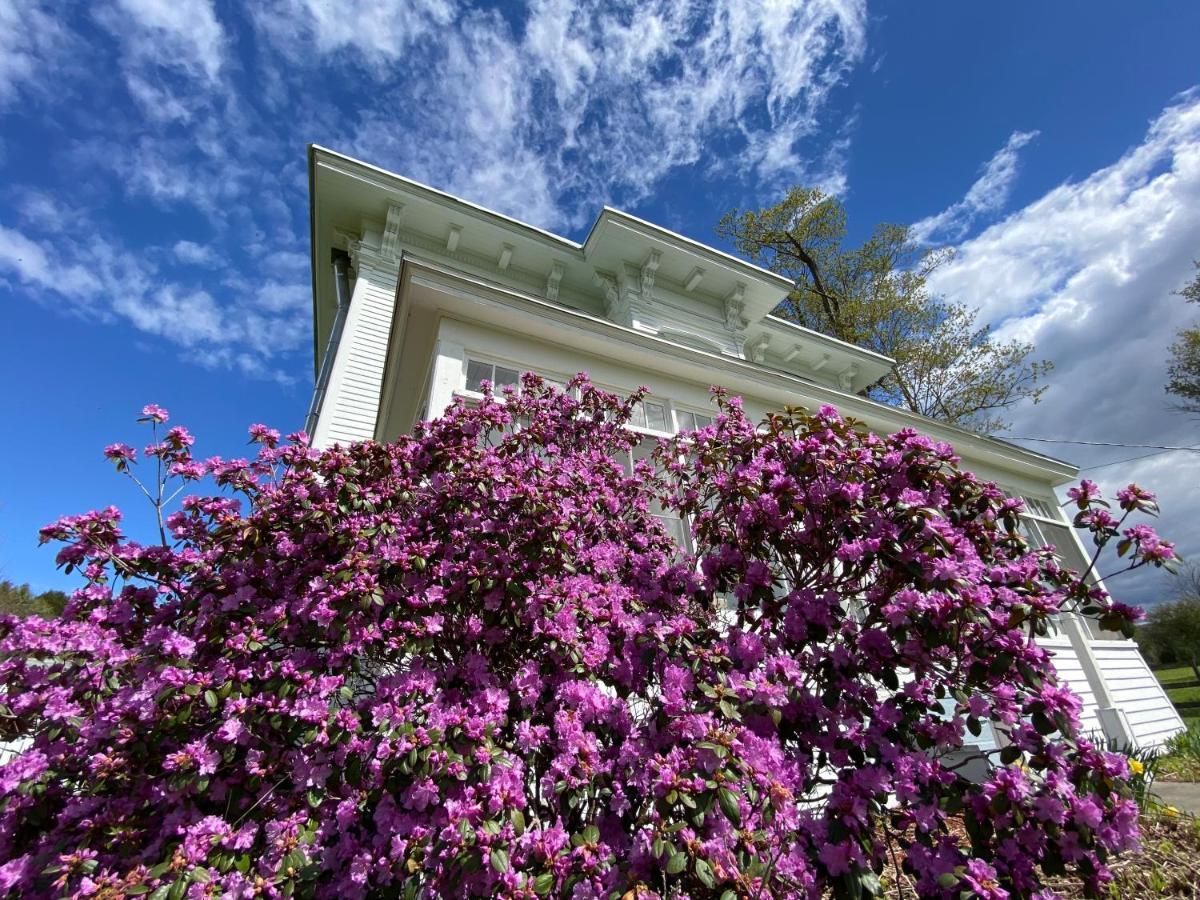 Bloom Farm Guesthouse Mount Vision Ngoại thất bức ảnh
