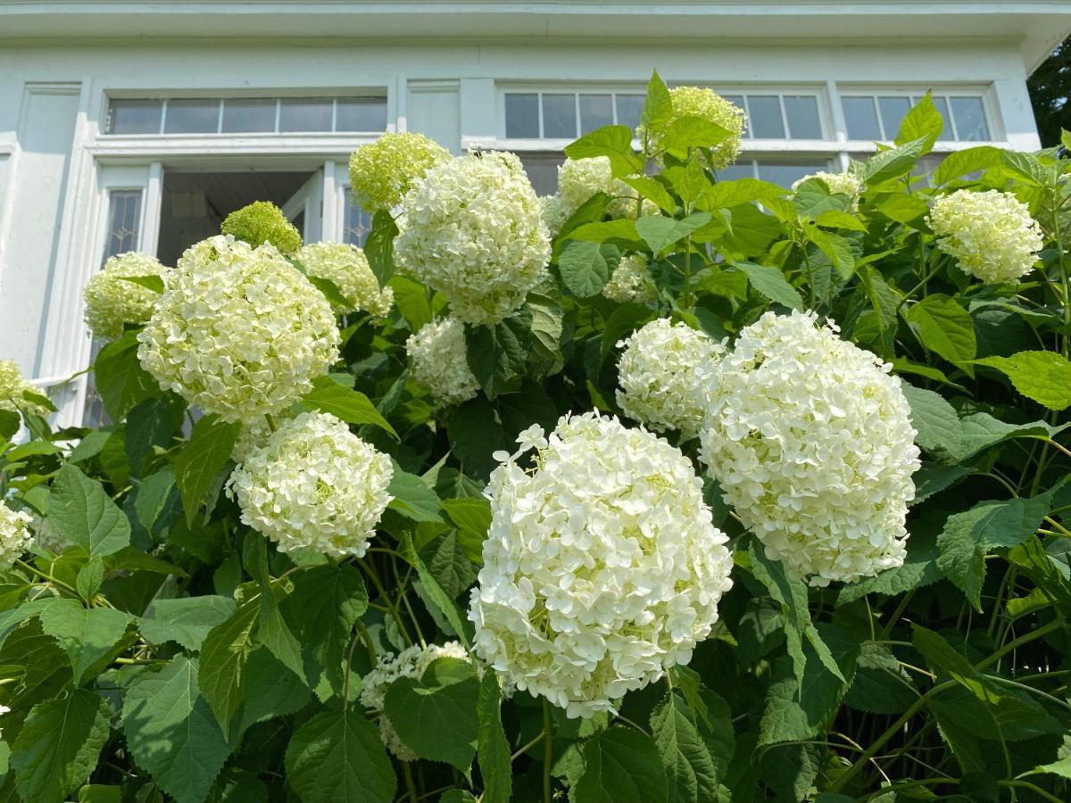 Bloom Farm Guesthouse Mount Vision Ngoại thất bức ảnh